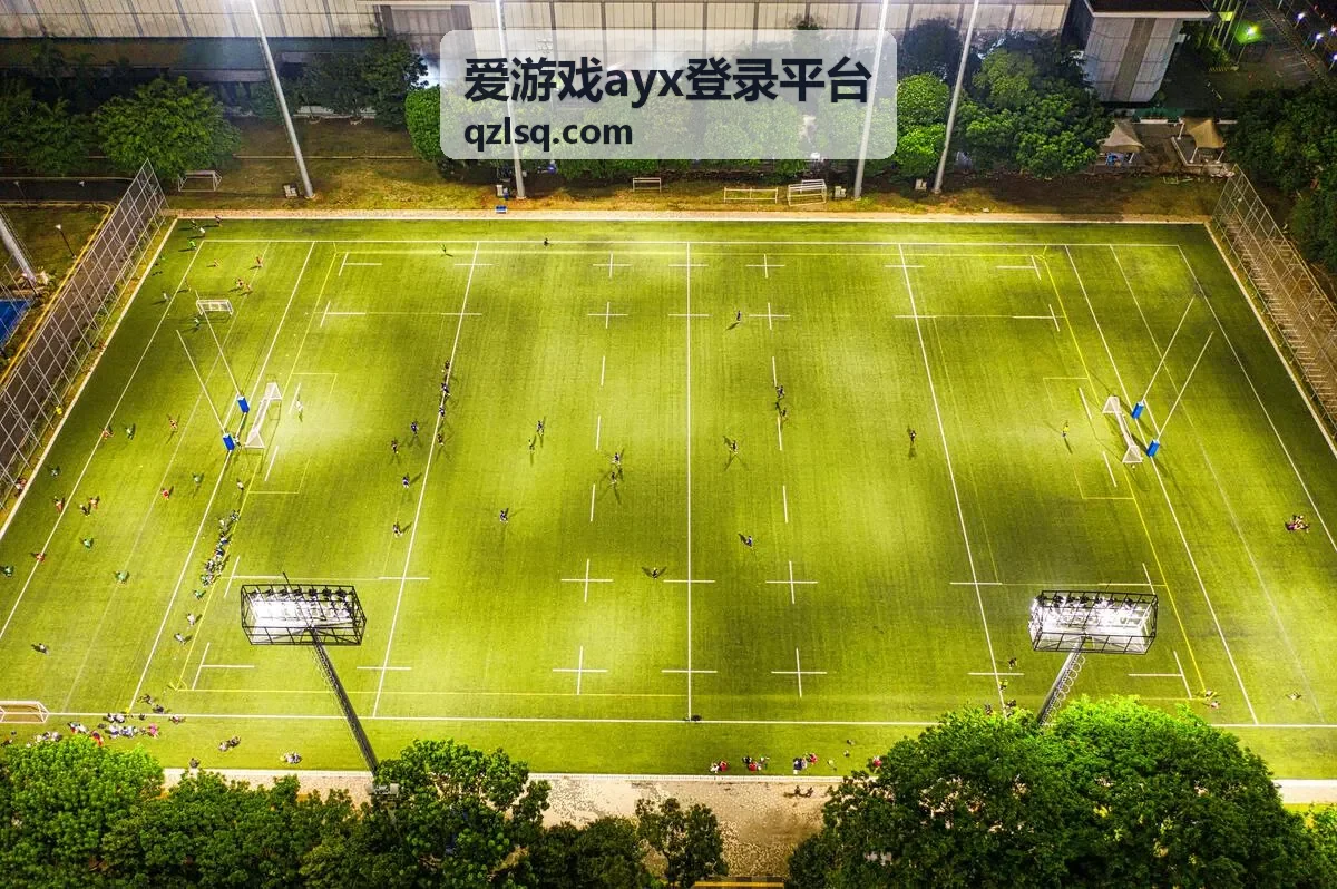 爱游戏ayx登录平台功能首页界面示意
