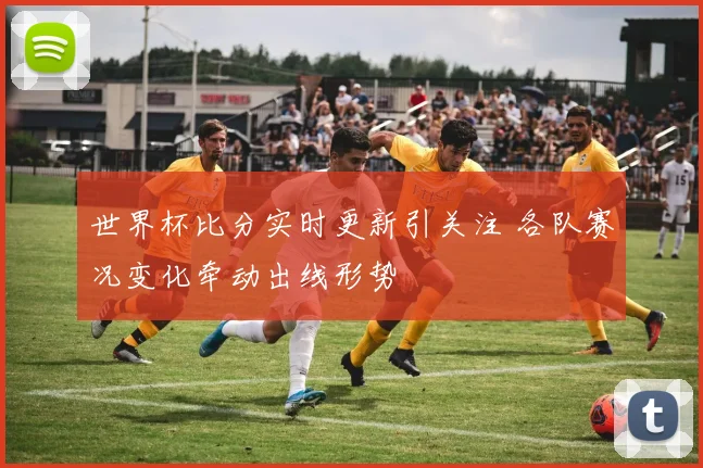 世界杯比分实时更新引关注 各队赛况变化牵动出线形势