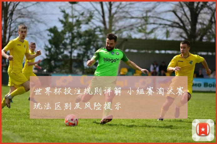 世界杯投注规则详解 小组赛淘汰赛玩法区别及风险提示